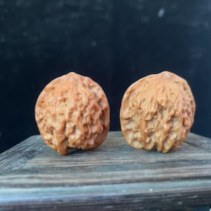 Puede incluir: Dos nueces marrones con superficies texturizadas se muestran sobre una superficie de madera. Las nueces tienen un aspecto natural y orgánico, con intrincadas crestas y un tono cálido y terroso. El fondo es oscuro y borroso.