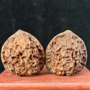 Par de bolas Baoding de nogal chino para ejercicios de salud, pelotas antiestrés para manos, palmas, dorso y pies. Mangos de nogal natural antiguos que alivian el estrés. M2282232