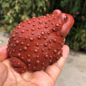 May include: A reddish-brown ceramic frog figurine with a textured, bumpy surface. The frog has a rounded body, small eyes, and is held in a hand. The figurine is a decorative item, possibly for a home or garden.