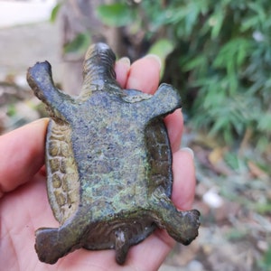 May include: A bronze-colored turtle figurine with a textured shell and detailed limbs. The figurine has a weathered appearance, with hints of green patina. The turtle is held in a hand, showcasing its underside and overall design.