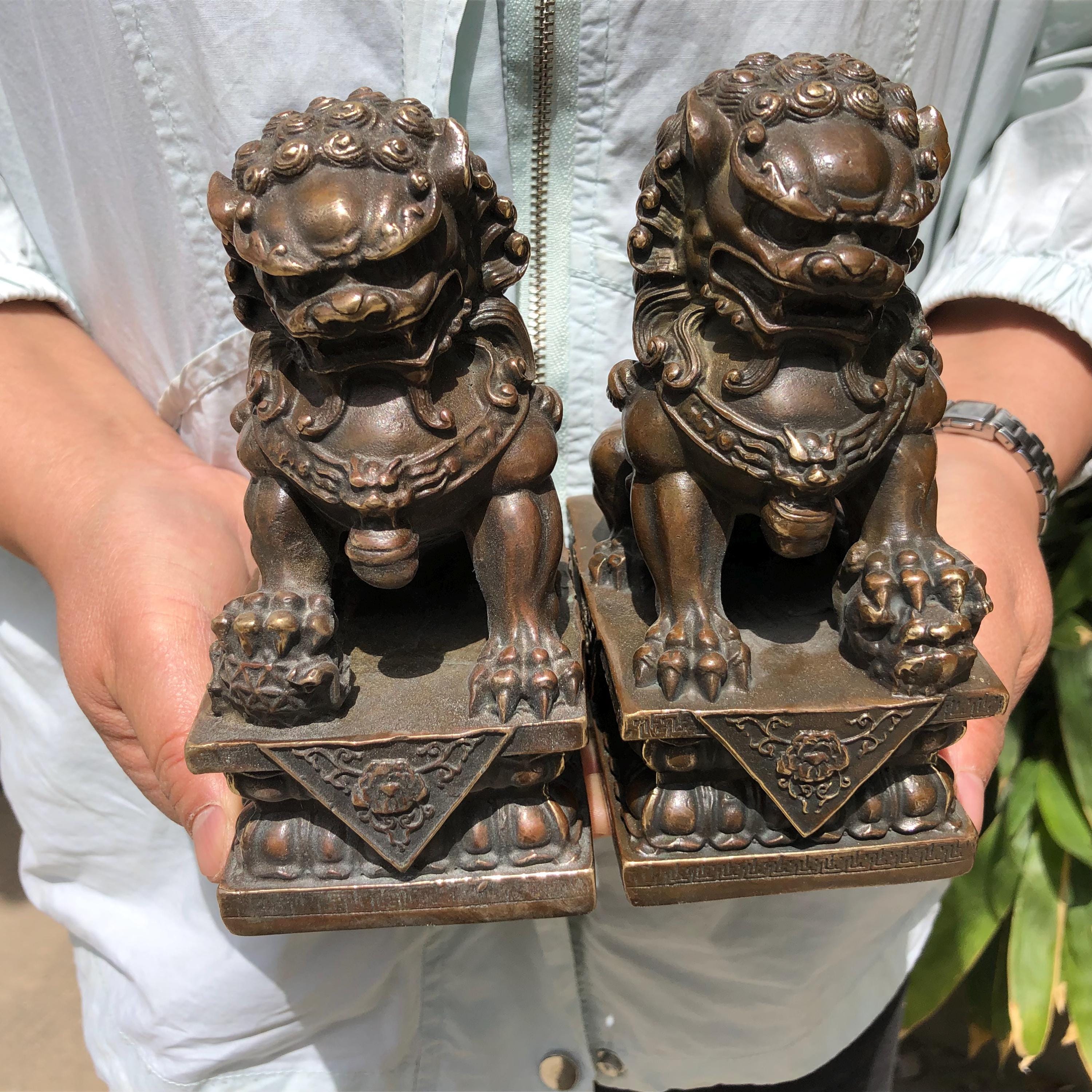 Large Brass Lion - Etsy Canada