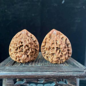 Puede incluir: Dos conchas de nuez talladas intrincadamente, de color marrón claro. Las conchas tienen una superficie detallada y texturizada y se exhiben sobre una superficie de madera. Las conchas tienen una forma natural y orgánica, y el tallado es muy detallado.