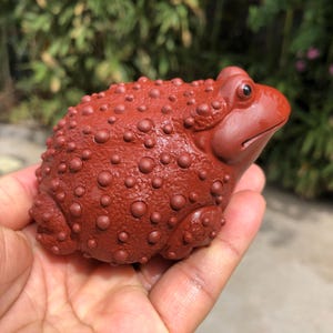 Könnte beinhalten: Eine rotbraune Keramikfroschfigur mit einer strukturierten, unebenen Oberfläche. Der Frosch wird in einer Hand gehalten, um seine detaillierten Merkmale und seine Gesamtform zu zeigen. Die Figur hat einen glatten, abgerundeten Kopf und Körper.