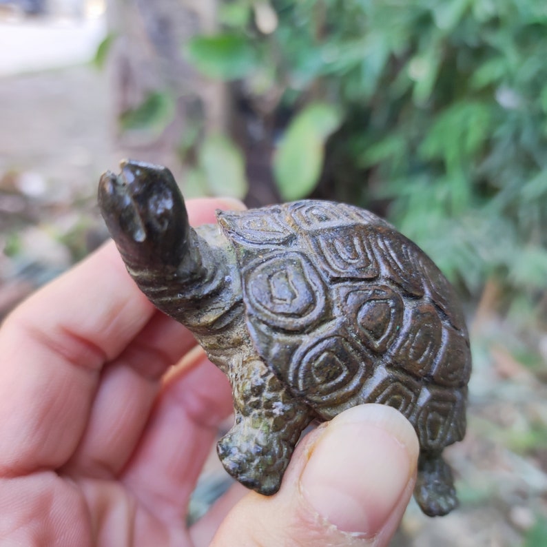 May include: A small, bronze-colored turtle figurine. The turtle has a detailed shell pattern and is held in a hand. The figurine is likely made of metal and has a weathered appearance, suggesting it may be an antique or vintage item.