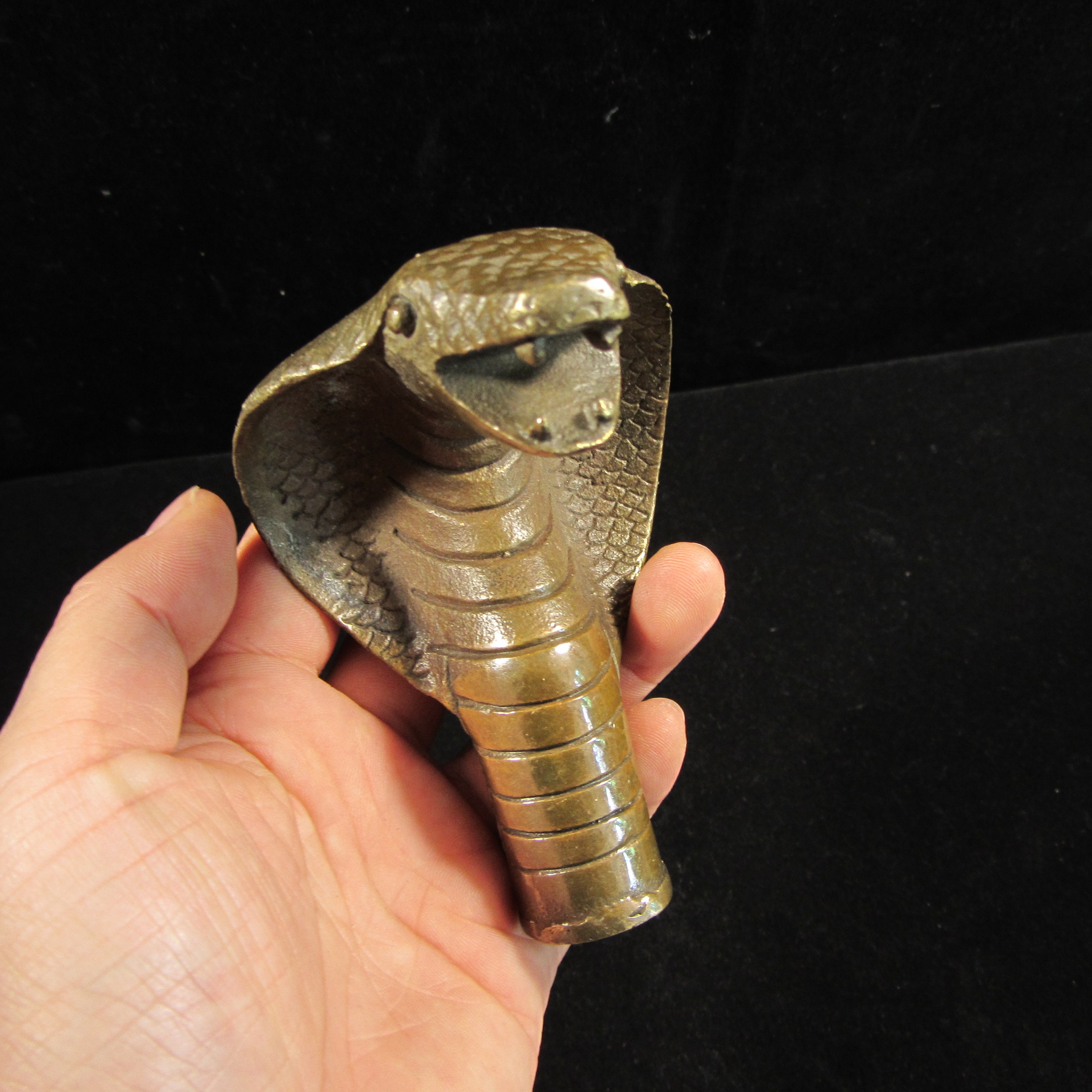 King Cobra Head