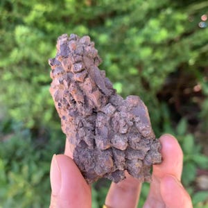 Estiércol de dinosaurio fosilizado fecal prehistórico de 98 g, espécimen mineral rugoso, heces de coprolito, traza fósil, ideal para un regalo de broma