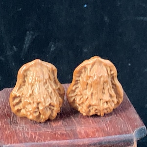 Puede incluir: Dos esculturas de madera talladas intrincadamente, cada una con una superficie texturizada y un color marrón claro. Las esculturas se exhiben sobre una pequeña superficie de madera de color marrón rojizo sobre un fondo oscuro. Las tallas parecen ser de una nuez o semilla.