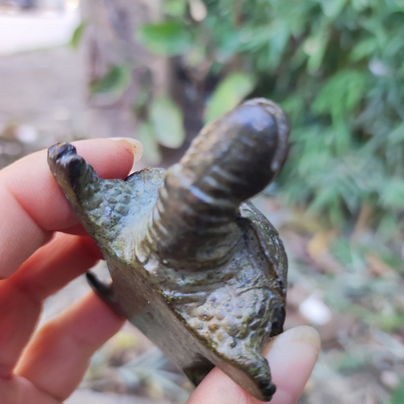 May include: A small, dark green turtle figurine with a textured shell and head. The figurine is held in a hand, with a blurred background of green foliage.