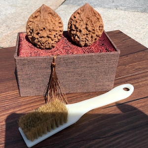 Puede incluir: Dos nueces marrones talladas intrincadamente descansan sobre una tela roja estampada dentro de una caja marrón. Un cepillo con mango blanco y cerdas color canela se encuentra al frente. Los artículos están sobre una superficie de madera.