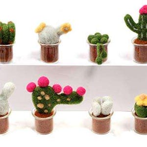 Kit de feutrage à l'aiguille pour plantes succulentes, kit de feutrage à l'aiguille de 8 cactus en pot