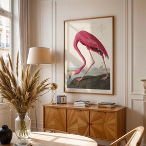 Flamingo Wall Art, Flamingo Art Print, Flamingo Vintage art, Flamingo Poster, Vintage Wall Art, Antique Wildlife Painting, Audubon Fine Art