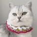 see more listings in the Pet Collar section