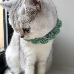 May include: A white and gray cat wearing a green and blue crocheted collar with pom-poms.
