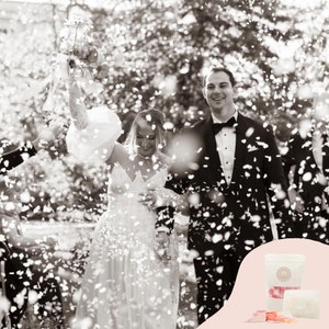 Heart Shaped Biodegradable Confetti with Translucent Envelopes | Ecofriendly & Water Soluble | 50 or 100 count