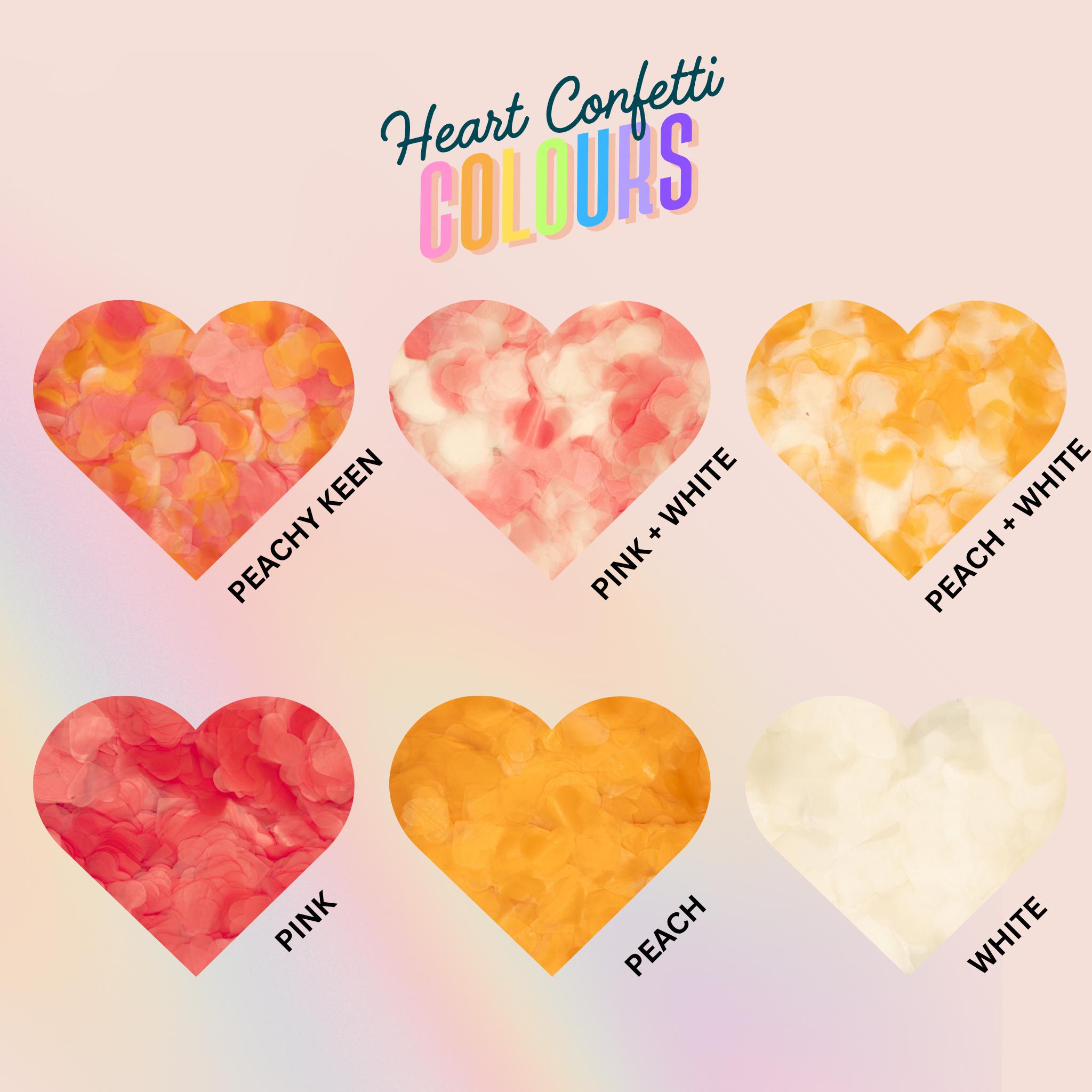 Biodegradable Confetti Sample Pack | Wedding Confetti Tester, Circle ...
