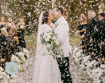 Large Bag Biodegradable Confetti  | 100 Guests | Water Soluble | Rice Paper | Wedding Exit Idea | Pink Peach Yellow Blue Green White Rainbow