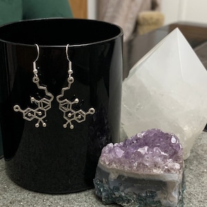 May include: A pair of silver earrings shaped like the chemical structure of a molecule. The earrings are displayed on a black surface with a purple amethyst crystal and a white crystal.