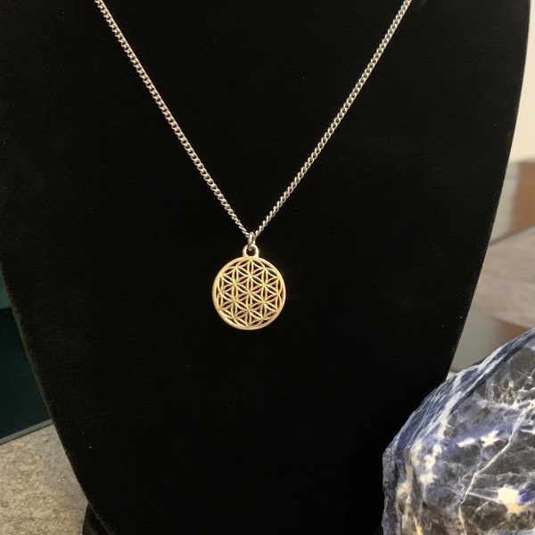 Flower of Life Necklace, Seed of Life Pendant, Metaphysical Jewelry, Spiritual Talisman, Hypoallergenic Chain, Custom Length