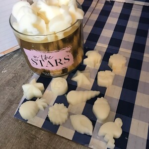 May include: A glass jar candle with a gold lid and a pink label that says "in the STARS" with white text. The candle is surrounded by white wax melts in various shapes, including stars, seashells, pineapples, and leaves.