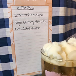 May include: A white notebook with the words "notes" and "In The Stars" written on it. The notebook lists the following scents: Bergamot Champagne, Night Blooming Water Lily, and Pink Salted Amber.