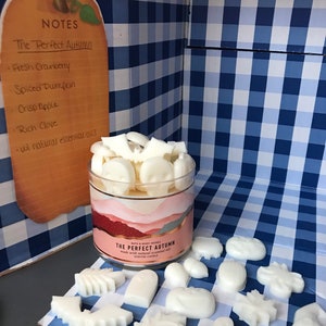 Bath and Body Works The Perfect Autumn Wax Melts