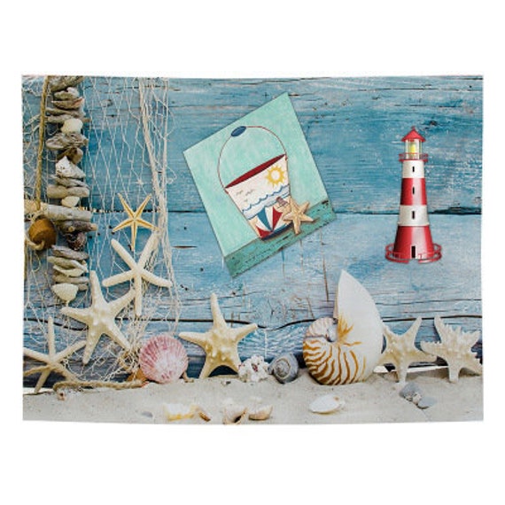 Starfish Shell Wall Hanging,