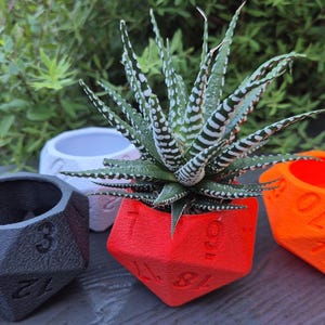 May include: Geometric planters in black, white, red, and orange, resembling polyhedral dice. A succulent plant with green and white striped leaves is in the red planter. The planters are on a dark surface with greenery in the background.
