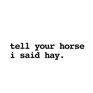 Tell Your Horse I said Hay vehicle decal, tell your horse I said hay bumper sticker, horse decal, horse humour sticker, horse lover, cowgirl