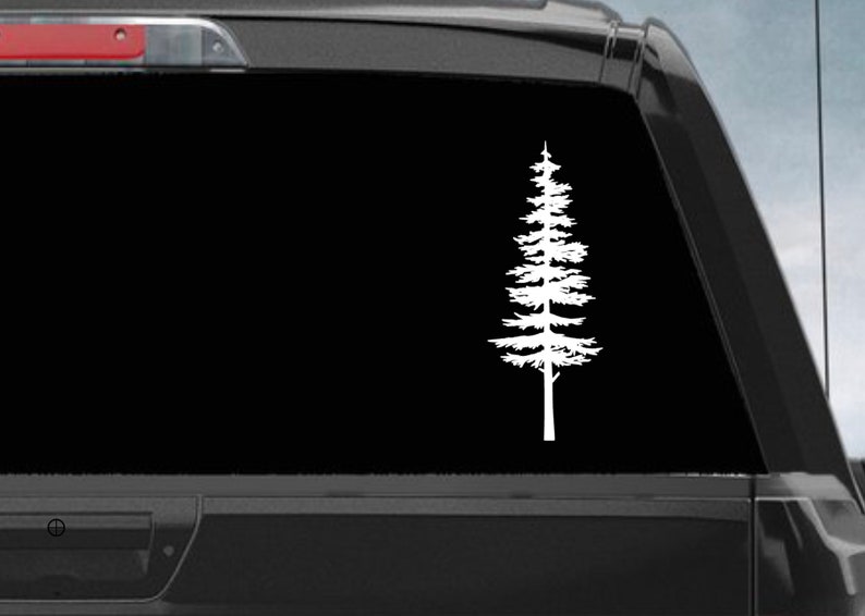 Sitka Tree Decal/Bumper Sticker, PNW Decal, Tree Decal, Nature Decal/Bumper Sticker image 1