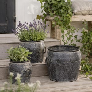 Trio of Antique Style Metal Tub Planters | Aged Barrel Pots | Industrial Rustic Garden Decor