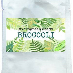 Może przedstawiać: Biała paczka nasion brokułu do mikrozieleni. Opakowanie ma akwarelowy wzór zielonych liści i napisy "Microgreen Seeds BROCCOLI". Mała wiązka mikrozieleni brokułu znajduje się przed opakowaniem.