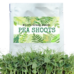 Może przedstawiać: Srebrna paczka nasion mikro-zieleni groszku. Etykieta zawiera akwarelowe ilustracje zielonych liści oraz tekst "Micro Green Seeds" i "PEA SHOOTS" w kolorze zielonym.