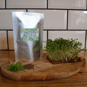 Microgreen Semi di germogliatura Rucola 25g 12.500 semi ca. No OGM Semi non trattati. Coltiva tutto l&#39;anno.