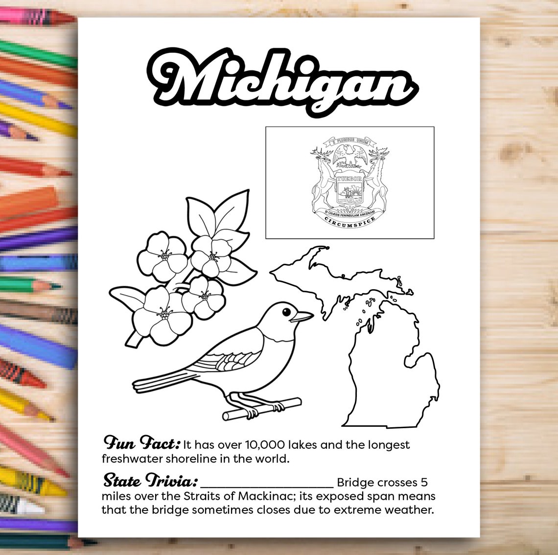 My US Passport: Color and Learn the 50 US States Printable - Etsy Italia