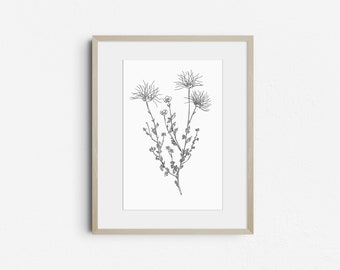 May include: A black and white line drawing of a wildflower with three blooms in a simple wooden frame.