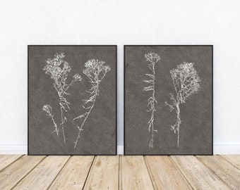 May include: Two framed black and white botanical prints of dried flowers on a grey background. The prints are in black frames and are hanging on a white wall.