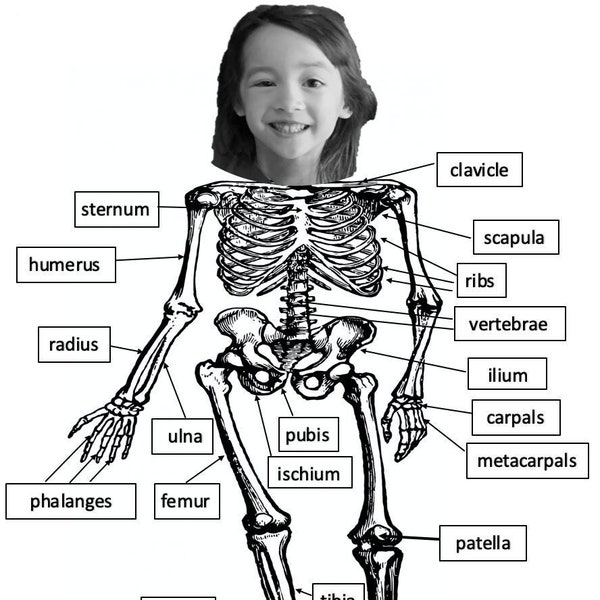 Anatomy Skeleton Coloring Pages - Etsy