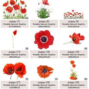 K&ouml;nnte beinhalten: Eine Sammlung digitaler Bilder mit roten Mohnblumen in verschiedenen Anordnungen. Die Bilder sind mit dem Namen "Mohnblume" und einer Nummer versehen, und die Gr&ouml;&szlig;e jedes Bildes ist in Pixeln angegeben.