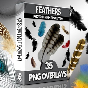 Feather PNG Overlays – Soft Plumage Clipart & Light Floating Feathers for Photoshop, Scrapbooking and Digital Compositing