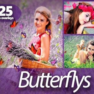 Butterfly Photo Overlays PNG, Flying butterfly, Color Flying Butterflies, Butterfly Png, Spring Overlays, Butterflies Overlays, Clip Art
