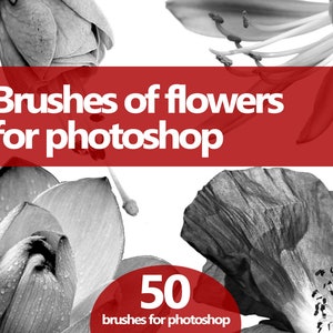 Flower Photoshop Brushes – Realistic ABR Set of Blossoms, Petals and Floral Elements for Spring, Wedding & Nature Digital Art