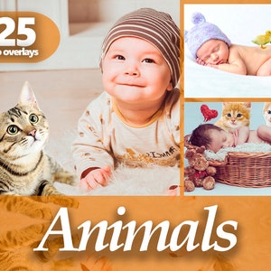 May include: 125 photo overlays featuring adorable animals, including cats and chicks, interacting with babies. The overlays are perfect for adding a touch of whimsy to your photos.