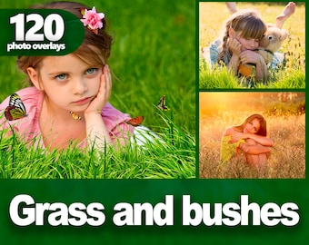 Sovrapposizioni PNG di erba verde e cespugli - Clipart di piante primaverili ed estive per Photoshop, sfondi da giardino e scene naturali