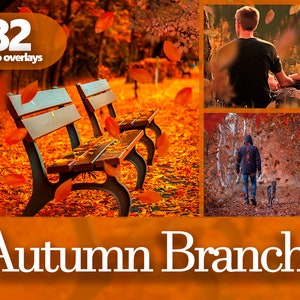Puede incluir: Una colección de 82 superposiciones de fotos de otoño con hojas que caen, un banco de parque y personas caminando por un bosque. El texto "Autumn Branch" se muestra en la parte inferior de la imagen.