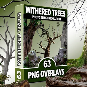 May include: A product box with the title "Withered Trees" and the text "Photo in High Resolution" and "63 PNG Overlays". The image shows various withered trees and tree stumps with moss and bark.