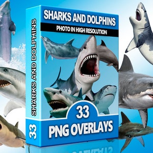 Shark & Dolphin PNG Overlays – Ocean Life Clipart, Underwater Fish, Sea Animals for Photoshop and Digital Beach Scenes