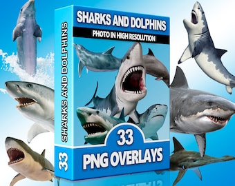 Shark Clipart PNG, Dolphins Overlays, Ocean Overlay, Fish png, Beach, Underwater, Scrapbook, High Quality Images, Photoshop pverlays