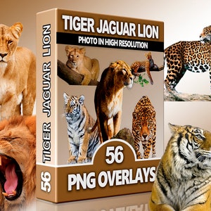 Big Cat PNG Overlays – Lion, Tiger, Jaguar, Cheetah Clipart & Wild Animal Elements for Photoshop, Scrapbooking and Digital Art