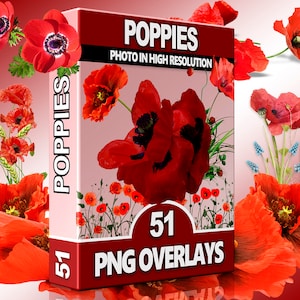 Red Flower PNG Overlays – Wildflowers, Spring Grass and Colorful Petals for Photoshop, Nature Scenes & Digital Designs