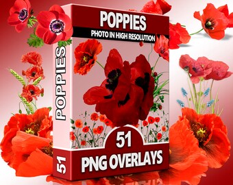 Red Flower PNG Overlays – Wildflowers, Spring Grass and Colorful Petals for Photoshop, Nature Scenes & Digital Designs